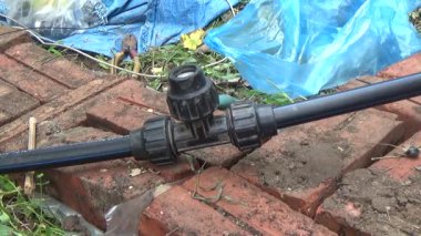 Çiftçi sebze bahçesi için su boruları kuruyor