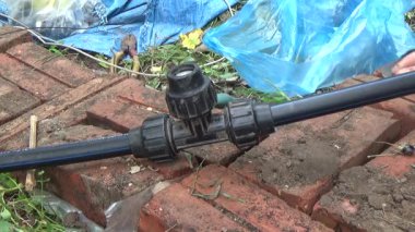 Çiftçi sebze bahçesi için su boruları kuruyor