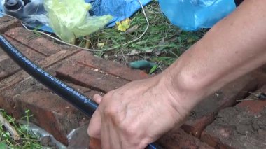 Çiftçi sebze bahçesi için su boruları kuruyor