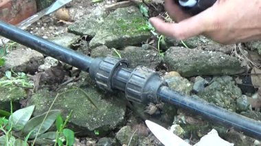 Çiftçi sebze bahçesi için su boruları kuruyor