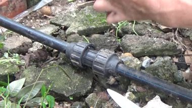 Çiftçi sebze bahçesi için su boruları kuruyor