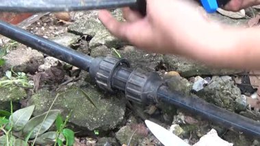 Çiftçi sebze bahçesi için su boruları kuruyor