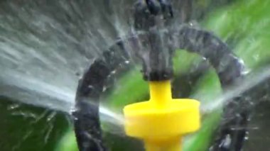 Çiftçi sebze bahçesi için su boruları kuruyor