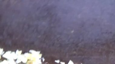 Şef balık sosuyla sarımsağı karıştırıyor.