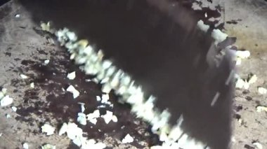 Şef balık sosuyla sarımsağı karıştırıyor.