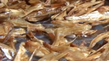 Nehirde balık tutan adam