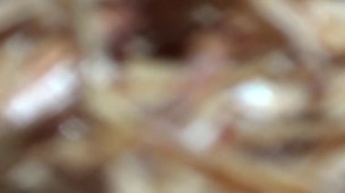 Nehirde balık tutan adam