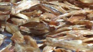 Nehirde balık tutan adam