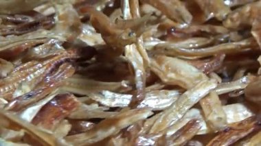 Nehirde balık tutan adam