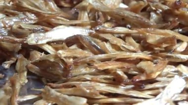 Nehirde balık tutan adam