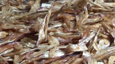 Nehirde balık tutan adam