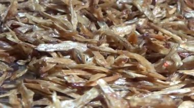 Nehirde balık tutan adam