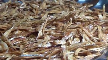 Nehirde balık tutan adam