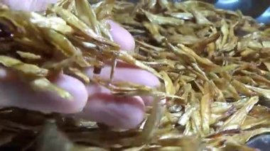 Nehirde balık tutan adam