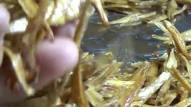 Nehirde balık tutan adam