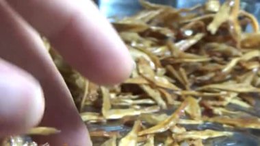 Nehirde balık tutan adam