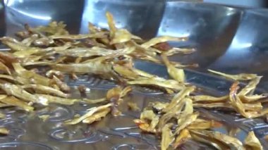 Nehirde balık tutan adam