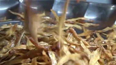 Nehirde balık tutan adam