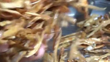 Nehirde balık tutan adam