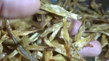 Nehirde balık tutan adam