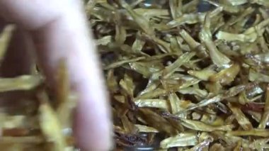 Nehirde balık tutan adam