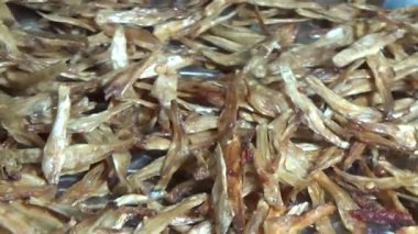 Nehirde balık tutan adam