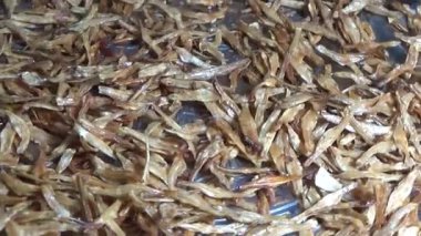 Nehirde balık tutan adam