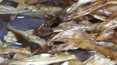 Nehirde balık tutan adam