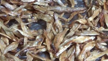 Nehirde balık tutan adam