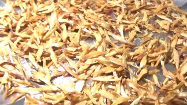 Nehirde balık tutan adam