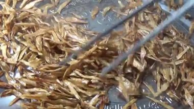 Nehirde balık tutan adam