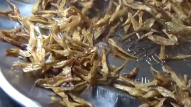 Nehirde balık tutan adam