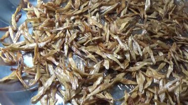 Nehirde balık tutan adam