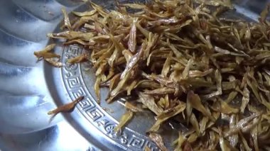 Nehirde balık tutan adam