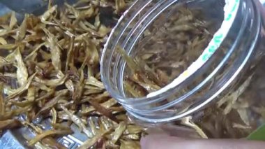 Nehirde balık tutan adam