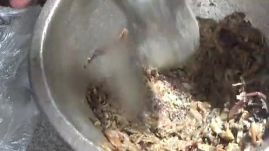 Çorba yapmak için tokmaklı yengeç