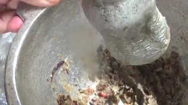 Çorba yapmak için tokmaklı yengeç