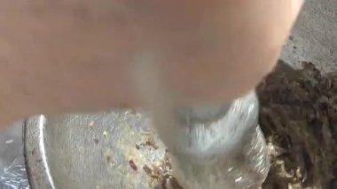 Çorba yapmak için tokmaklı yengeç