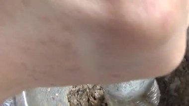 Çorba yapmak için tokmaklı yengeç