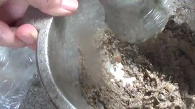 Çorba yapmak için tokmaklı yengeç