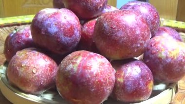 Bambu filizlerinden yiyecekler.