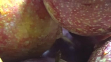 Bambu filizlerinden yiyecekler.