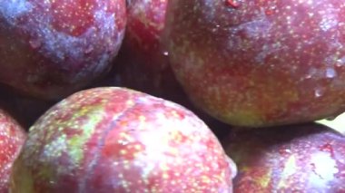 Bambu filizlerinden yiyecekler.