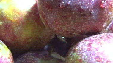 Bambu filizlerinden yiyecekler.