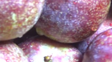 Bambu filizlerinden yiyecekler.