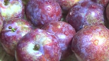 Bambu filizlerinden yiyecekler.