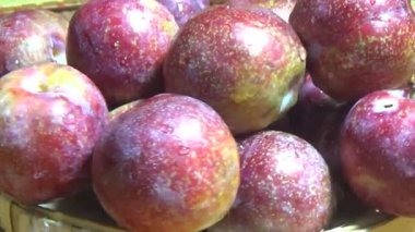 Bambu filizlerinden yiyecekler.