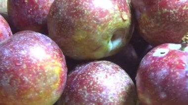 Bambu filizlerinden yiyecekler.