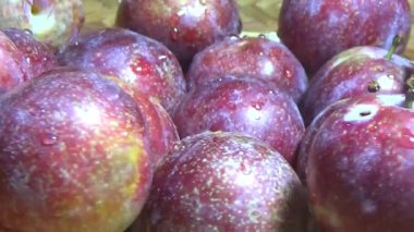 Bambu filizlerinden yiyecekler.