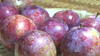 Bambu filizlerinden yiyecekler.